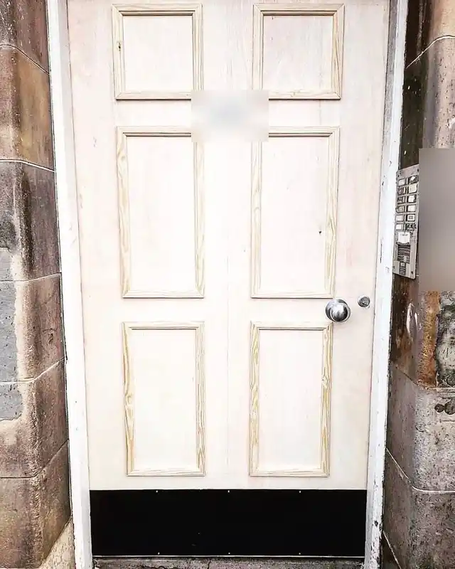 New unpainted six-panel timber door with a black kick plate in a stone doorway, entry panel to the right.